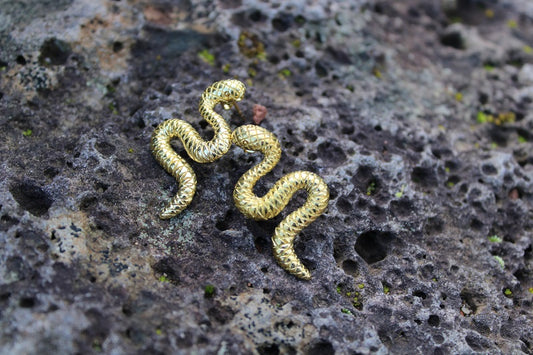 Snake Brass Earrings