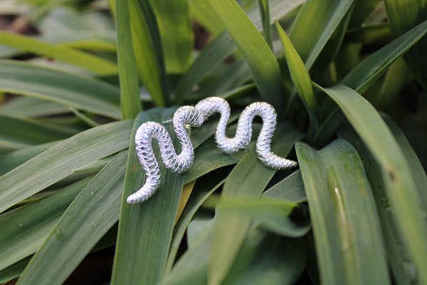 Snake Silver Plated Earrings