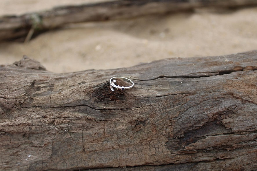 Anchor Ring