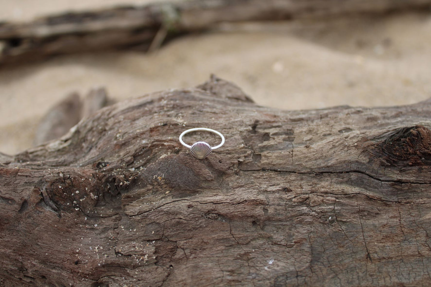 Clam Shell Ring